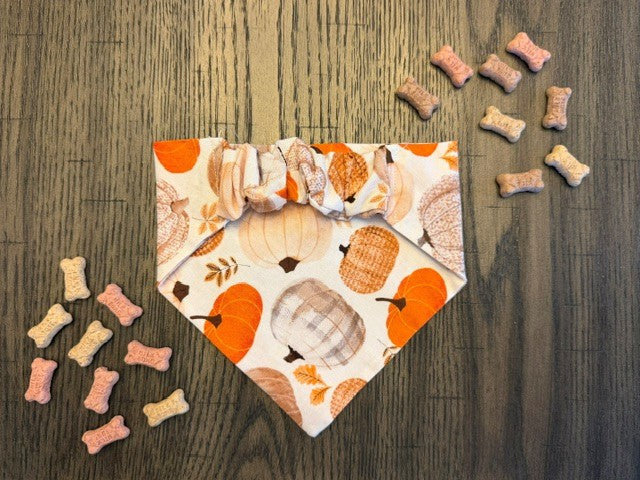 Daylight Pumpkin bandana flat lay back view