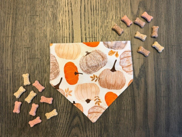 Daylight Pumpkin bandana flat lay front view