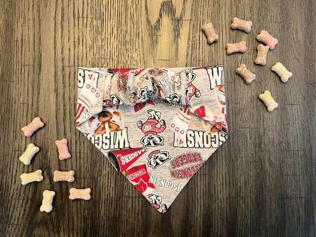 Go Bucky bandana flat lay back view