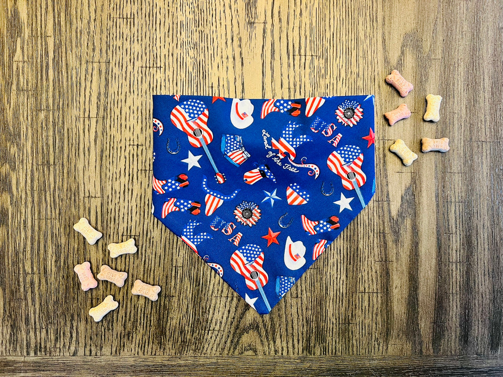 Country USA