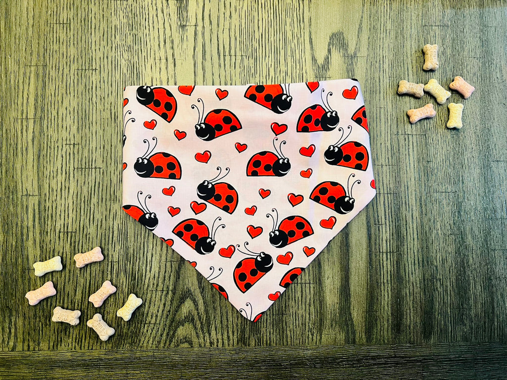 Ladybug Love