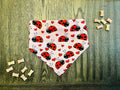 Ladybug Love