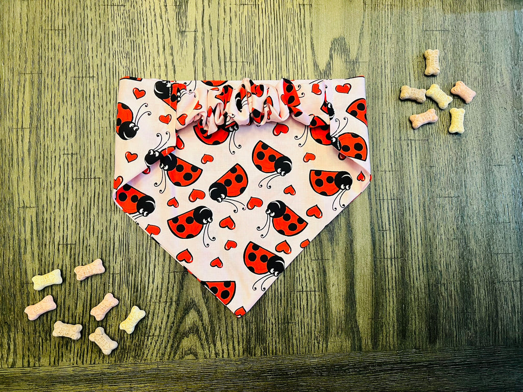 Ladybug Love