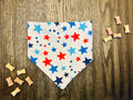 Patriotic Stars RW&B