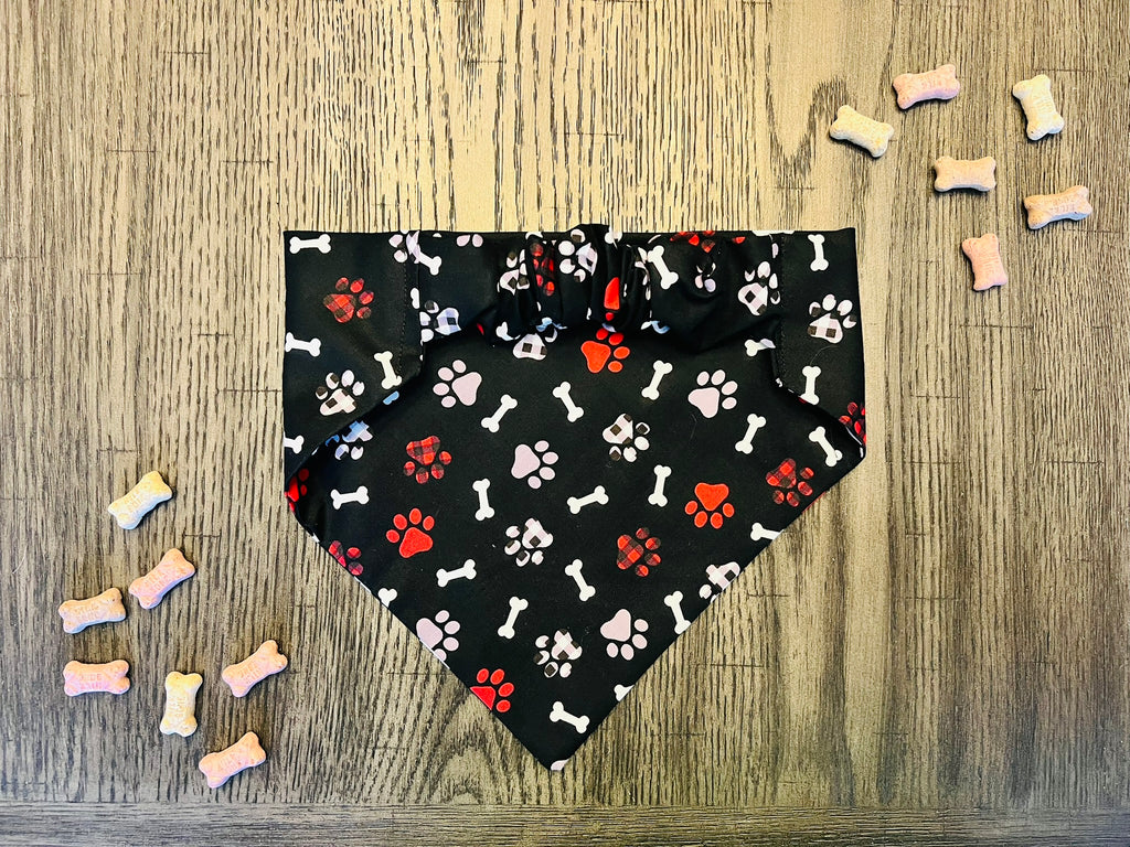 Paws & Play