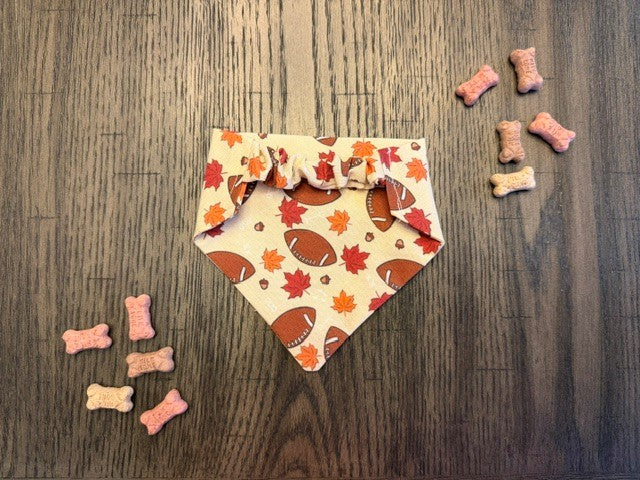 Dog Bandana:  Autumn Kickoff